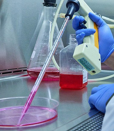 Medical technician taking sample from petri dish