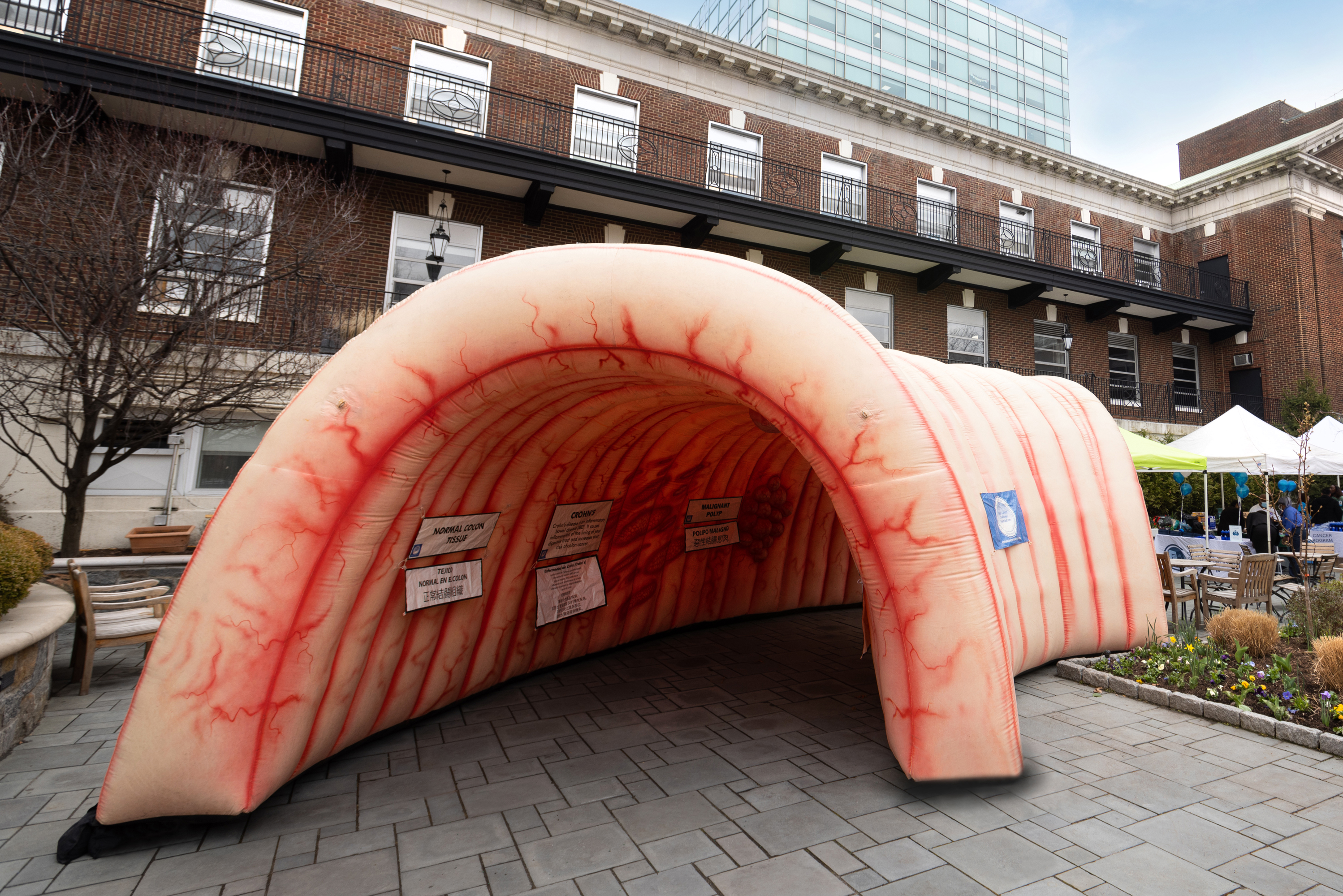Giant inflatable colon from an educational pavillion in the hospital courtyard