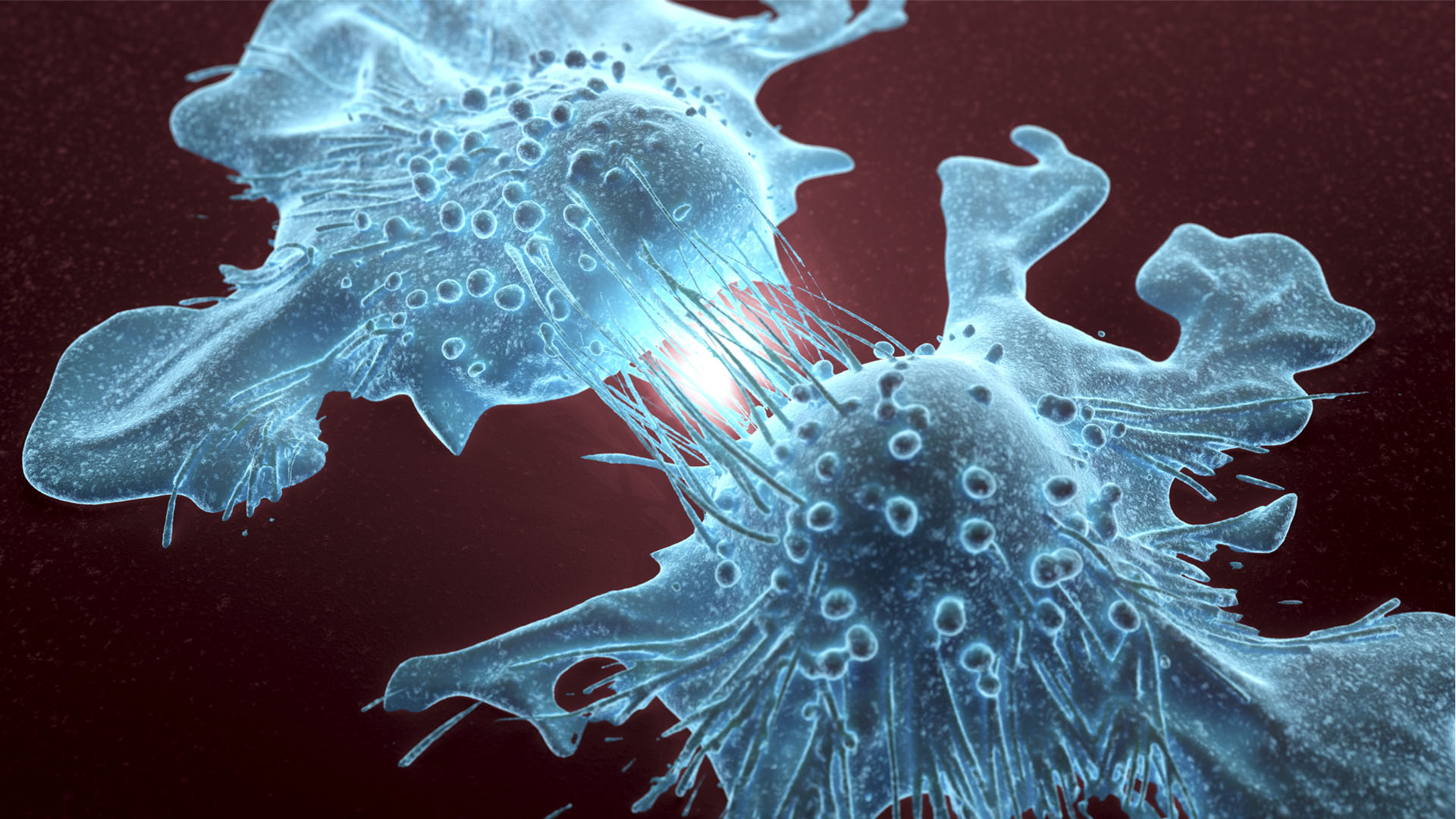 Hope for Eradicating Dormant but Deadly Cancer Cells